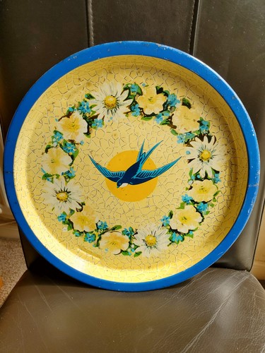 Very rare blue bird - very,