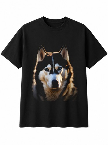 Siberian husky with feathers - siberian,