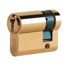 Garage Door Half Euro Cylinder