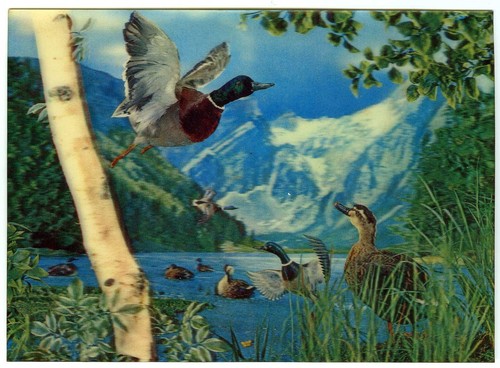 Swiss lenticular postcard - 3d,