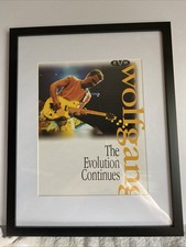 1996 Peavey EVH Wolfgang