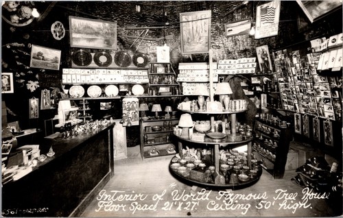 Real photo postcard interior - real,