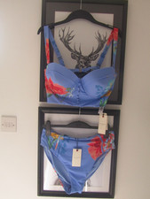 TED BAKER 2025 blue floral