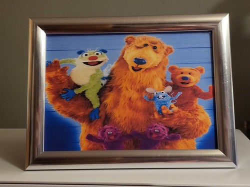 Jim henson bear the - bear, in