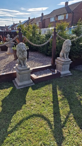 Large hand cast stone lions - lions, on
