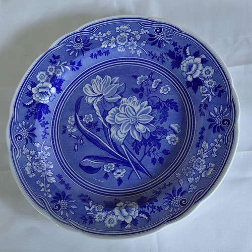 Spode blue room botanical - spode,