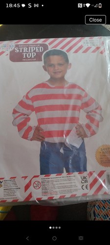 Where wally costume for - wally?,