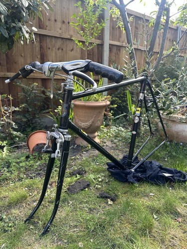 Bottecchia carbon frameset - carbon,