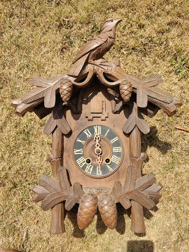 Black forest cuckoo - black,