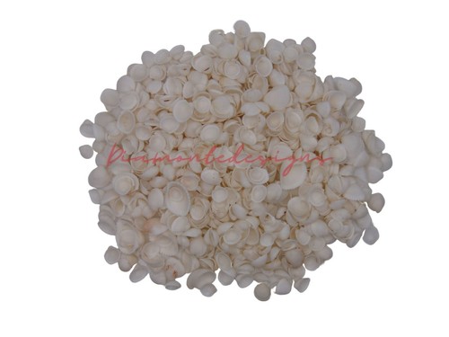 Mini white cockle shells - mini,