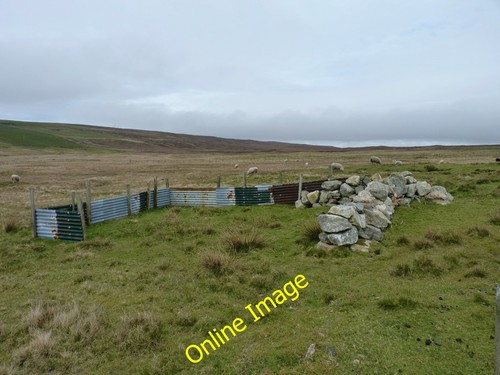 Photo 6x4 corrugated - 6x4, and