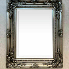 Silver ornate mirror - silver,