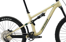 Frame Pivot Bearing Kit |