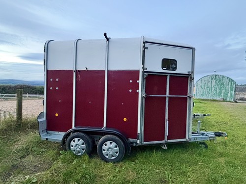 Ifor williams hb510r horse - williams,
