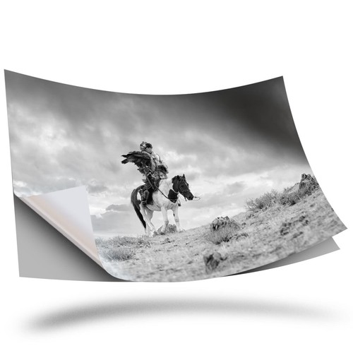 Vinyl sticker bw - bw,