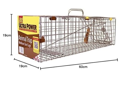 Animal welfare friendly - animal, welfare-friendly