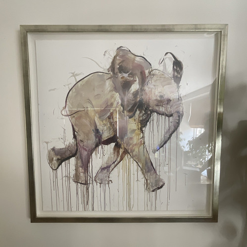 Dave white baby elephant - dave,