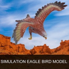 —Simulation Eagle Model