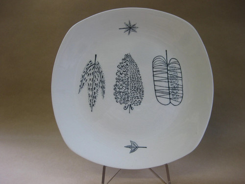 Nature study terence - by, conran
