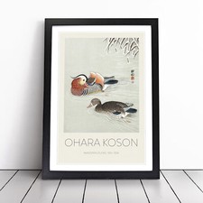 Mandarin Ducks Print By Ohara