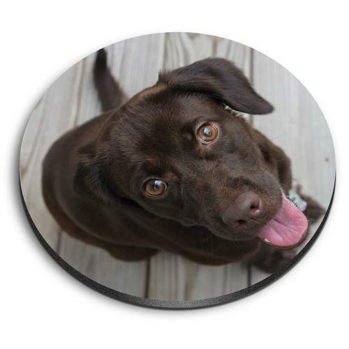 Round mdf magnets chocolate - magnets,