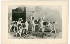 HARRIER RARE ANTIQUE 1897 DOG