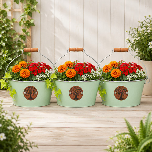 3pc tree life - 3pc,