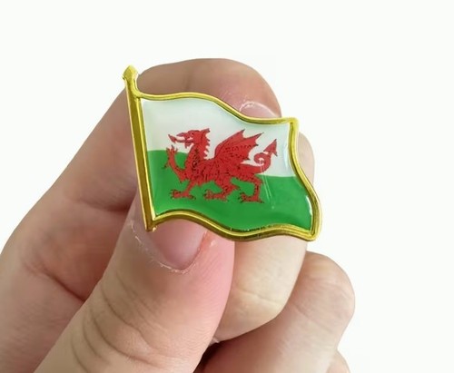 Welsh flag pin - welsh,