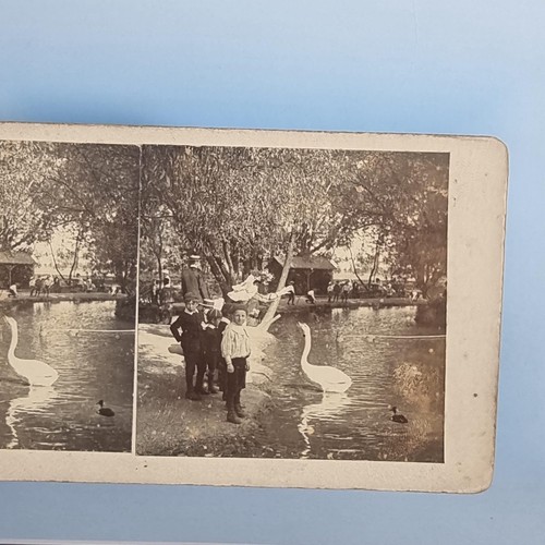 Victorian life stereoview - victorian,