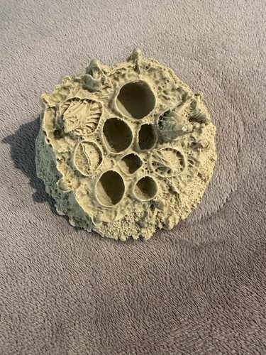 Tyranid brood nest - tyranid, forge