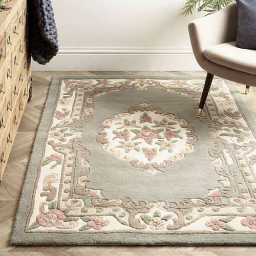 Traditional aubusson rug - traditional,