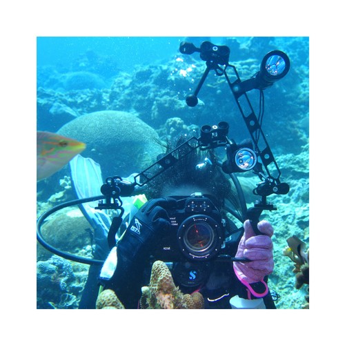 Aluminum clip ball head arm - aluminum,