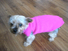 Hand Knitted Puppy Dog
