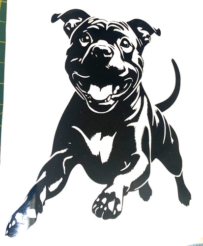 Staffordshire bull terrier - 1x,