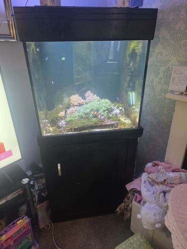 360 marine fish tank - marine,