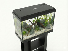 **BRAND NEW** Fish Tank