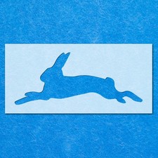 Hare Rabbit Bunny Running