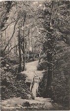 Ecclesbourne Glen Hastings Postcard Pub Sussex Photographic Co.