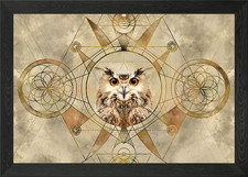 Owl Framed Wall Art Poster