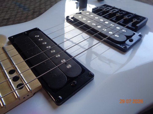 Classical electric guitar - classical,