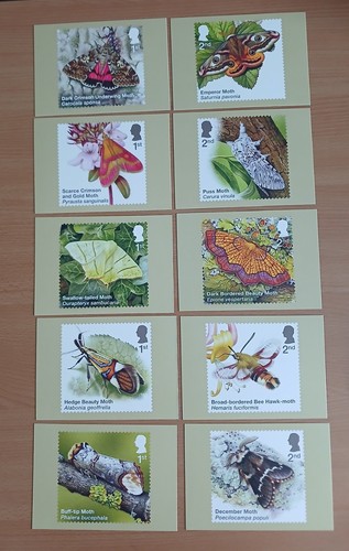 Moths full set - set, royal