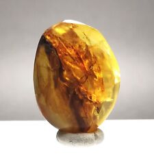 2.5ct Burmese Amber w. Plant