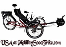 recumbent tricycle bike