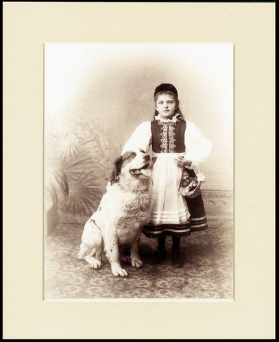 Pyrenean mountain dog art - pyrenean,