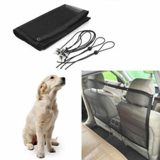 Pet Safety Travel Isolation