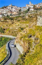 Gregoire de Mevius Willy Lux