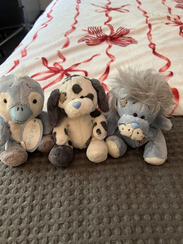 Blue nose friends - my,