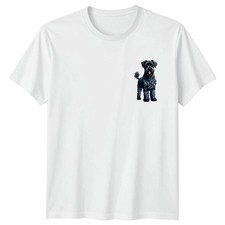 Black Schnauzer Dog Animals