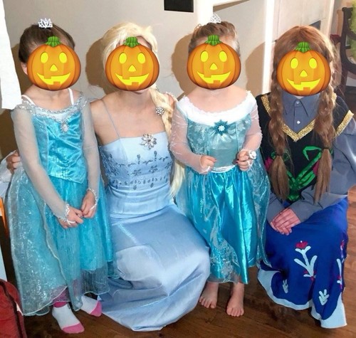 Adult womens elsa - adult, size