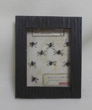 Dolls house shadow - dolls,